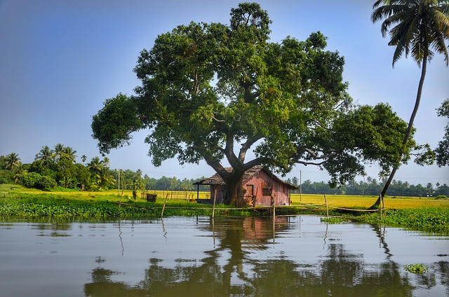 alleppey-3170776_640